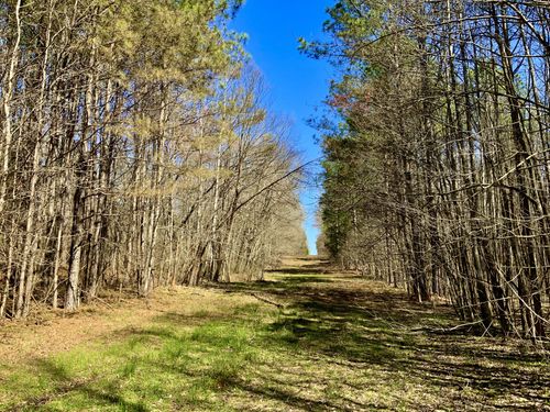 0 Spring Hill Cemetery Rd, Sardis, TN, 38371 | Card Image