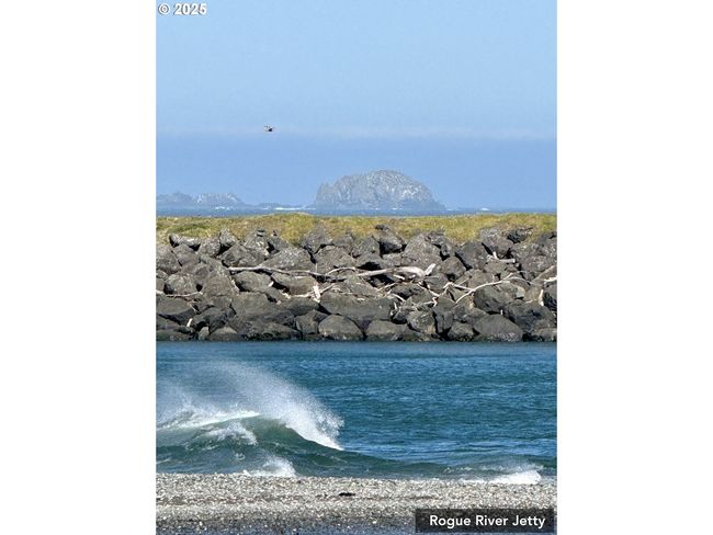 4 - 000 Old Coast Hwy, Home with 0 bedrooms, 0 bathrooms and null parking in Gold Beach OR | Image 44