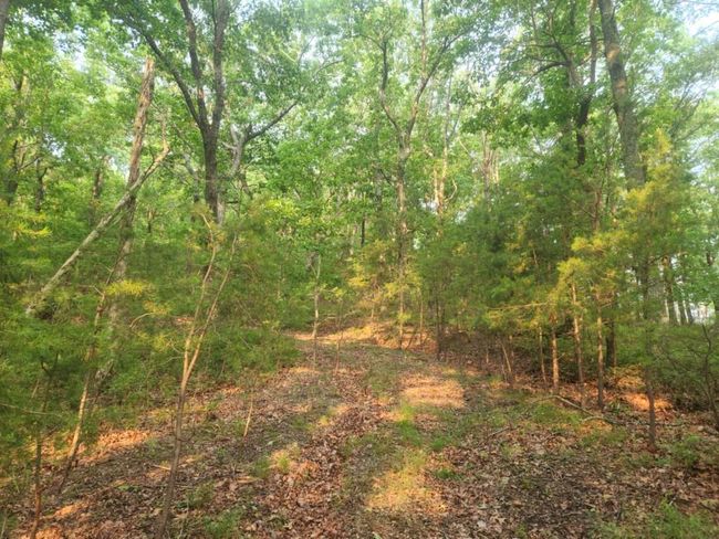 161 Sharp Mountain Pkwy, Home with 0 bedrooms, 0 bathrooms and null parking in Jasper GA | Image 10
