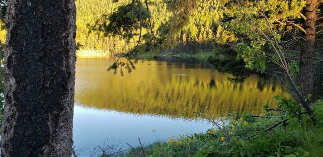 488 Emerald Lake Loop, Home with 0 bedrooms, 0 bathrooms and null parking in Seeley Lake MT | Image 25