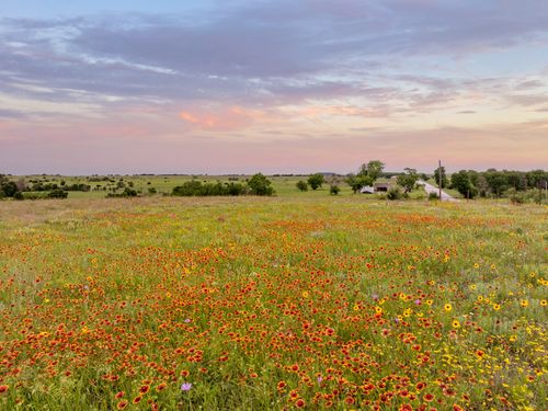 TBD Fm 1602, Jonesboro, TX, 76538 | Card Image