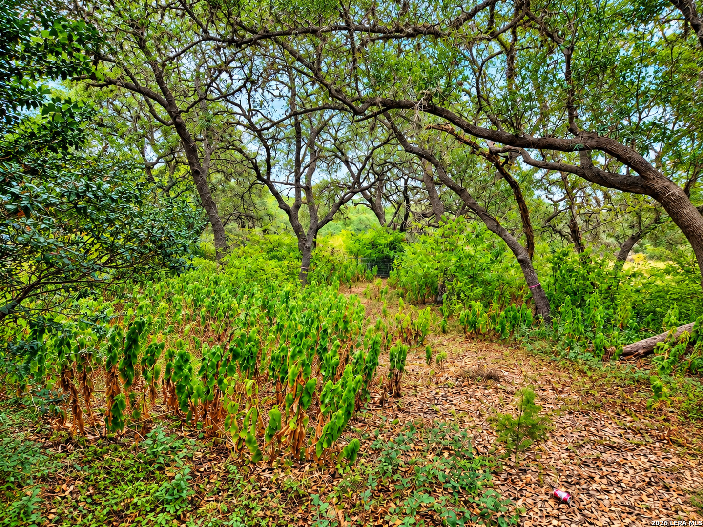 Land in San Antonio 5