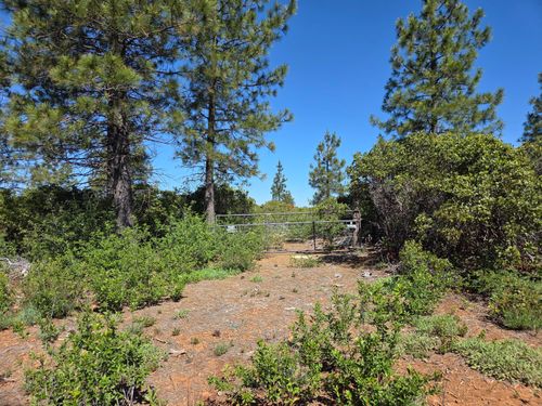Lot 2 Eleanor Way, Shingletown, CA, 96088 | Card Image