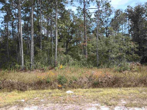 10440 Flikkema Ave, HASTINGS, FL, 32145-8882 | Card Image