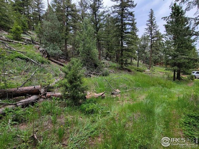 1 Mountain Lion Track Court, Home with 0 bedrooms, 0 bathrooms and null parking in Livermore CO | Image 6