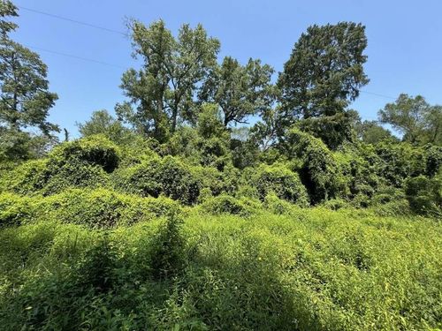 1891 Sample Dr, Woodville, TX, 75979 | Card Image