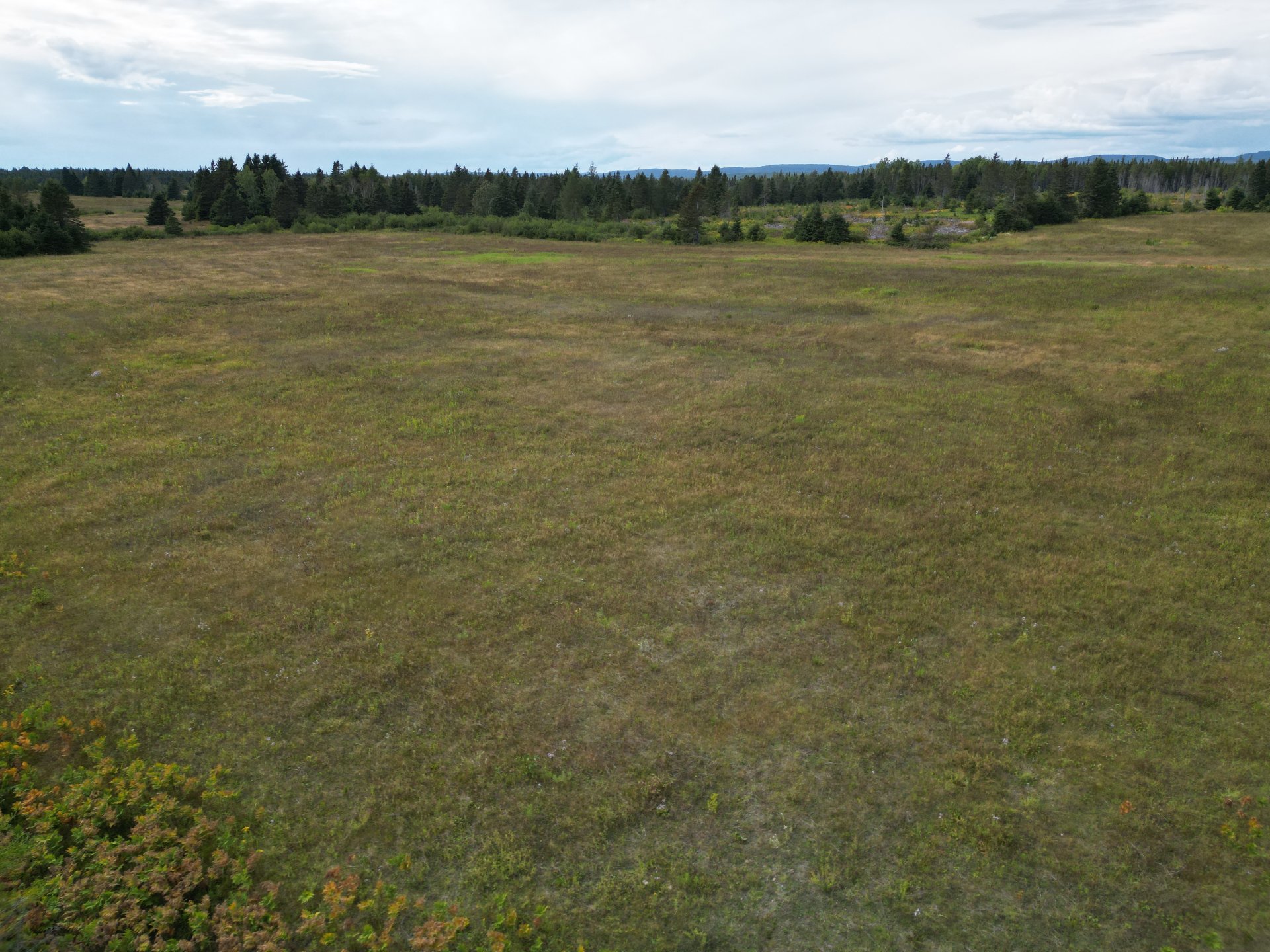 Land in Unknown 5