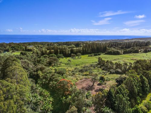 11-b- Kaiwiki Homestead Rd, HAKALAU, HI, 96710 | Card Image