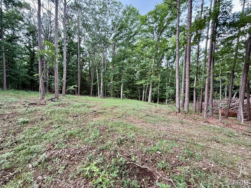 Land in Licking 2