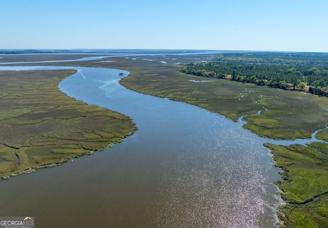 LOT 221 Clam Crk, Home with 0 bedrooms, 0 bathrooms and null parking in Waverly GA | Image 5