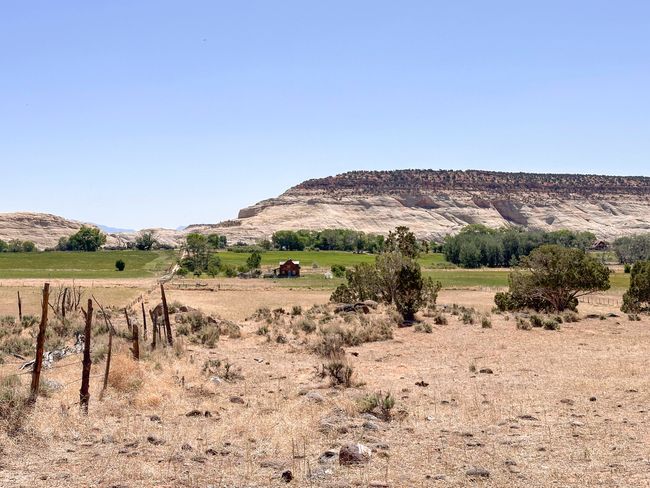 Future Homesite | Image 42