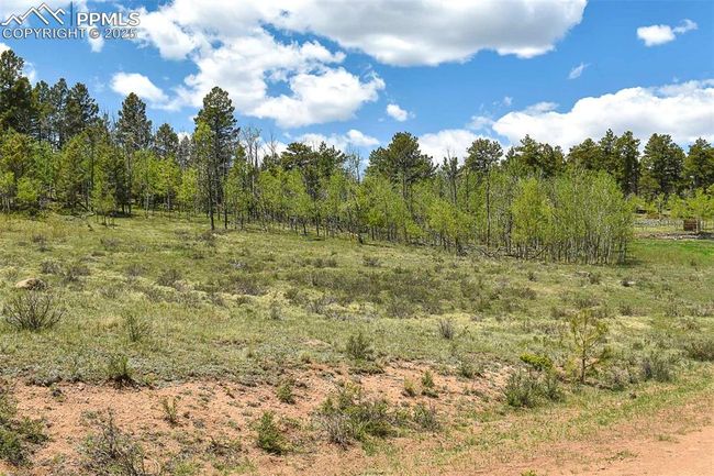 130 Eleven Mile State Park, Home with 0 bedrooms, 0 bathrooms and null parking in Lake George CO | Image 20