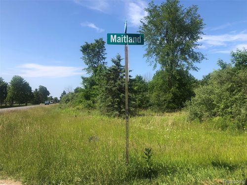 Parcel 1-4 Maitland Road, Clyde Township, MI, 48049 | Card Image