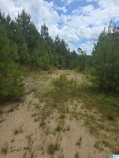1-001 County Road 256, Clanton, AL, 35046 | Card Image
