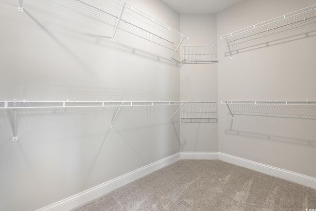Spacious closet with carpet | Image 20