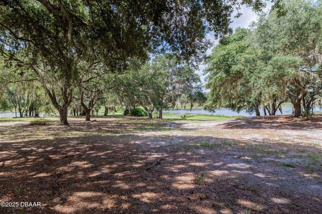 111 Penny Acres Ln, House other with 3 bedrooms, 2 bathrooms and null parking in Welaka FL | Image 33