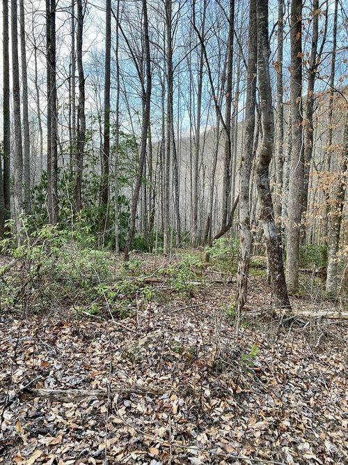 00 Carringer Rd, Robbinsville, NC, 28771 | Card Image