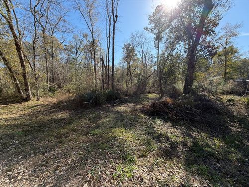 TBD Little Ln, Shepherd, TX, 77371 | Card Image