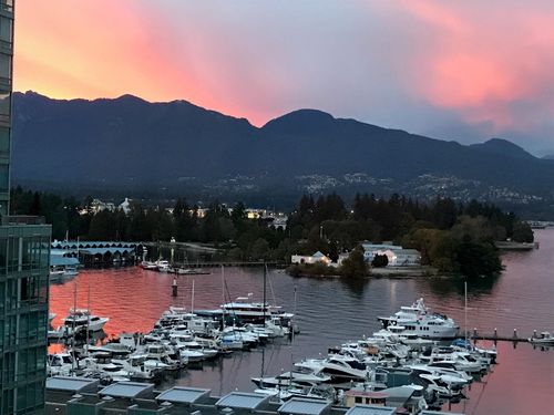 {{alt}} | Card Image