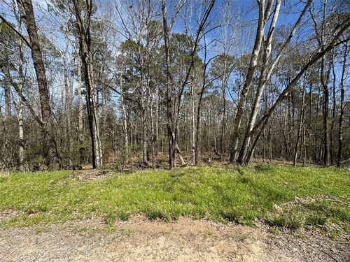 0000 Saddle Surrey Rd, Coldspring, TX, 77331 | Card Image