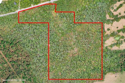 48.77 Acres E Highway 45, Hindsville, AR, 72738 | Card Image