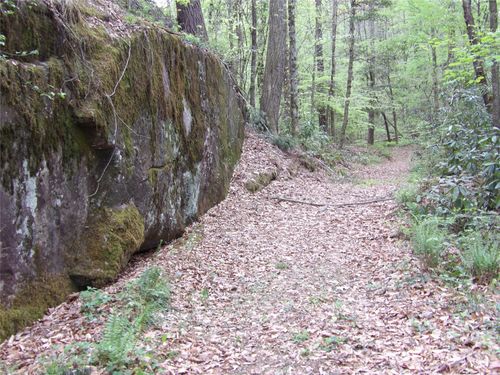 00000 Barlowe Place, Lenoir, NC, 28645 | Card Image