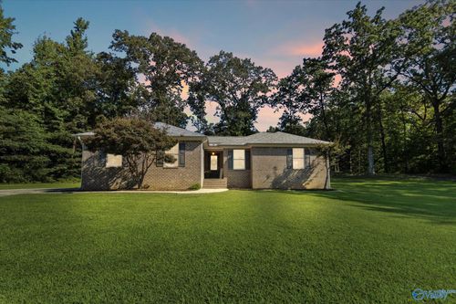 125 John Johnson Rd, Trinity, AL, 35673-5736 | Card Image