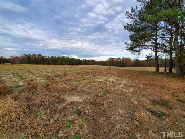 0 Edgemont Rd, Home with 0 bedrooms, 0 bathrooms and null parking in Wendell NC | Image 4
