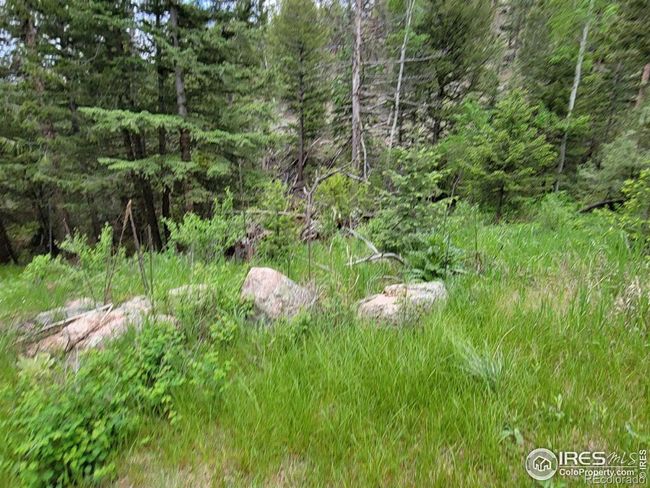 1 Mountain Lion Track Court, Home with 0 bedrooms, 0 bathrooms and null parking in Livermore CO | Image 10