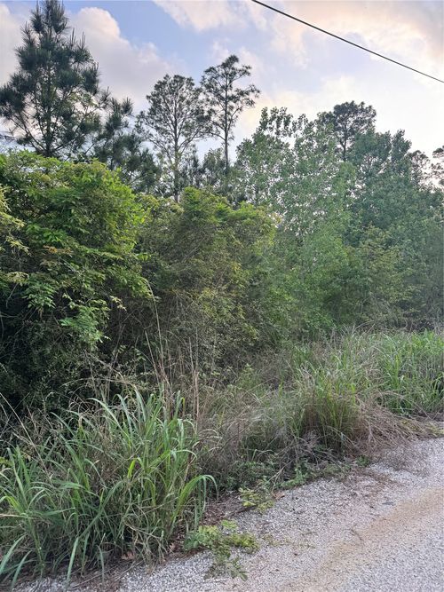 Lot 1386 N Pahihi Dr, Bastrop, TX, 78602 | Card Image