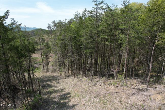 0 Coy Bradley Ln, Home with 0 bedrooms, 0 bathrooms and null parking in Bulls Gap TN | Image 18