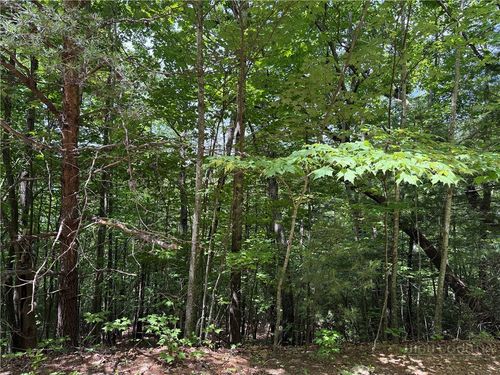 Lot 132A Warren Way Road, Purlear, NC, 28665 | Card Image