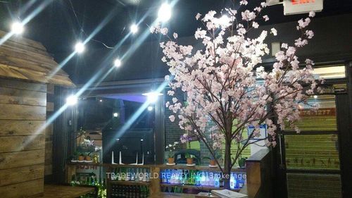 {{alt}} | Card Image