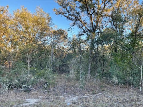 TBD Sw Wood Rd, Dunnellon, FL, 34431 | Card Image