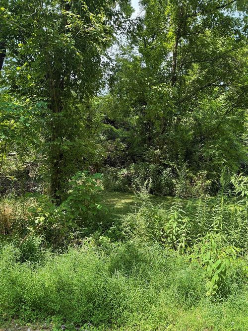 0 Camp Rd, Portsmouth, OH, 45662 | Card Image