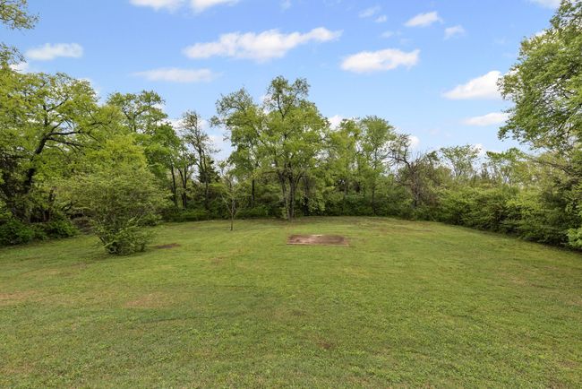 View of green lawn | Image 25