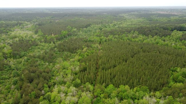 DJI_0694 | Image 5