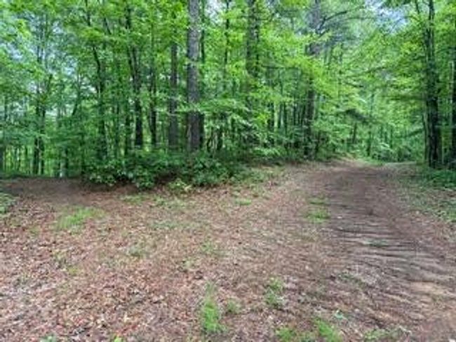 00 Woodsong Haven Ln, Home with 0 bedrooms, 0 bathrooms and null parking in Turtletown TN | Image 5