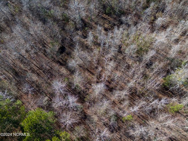 00 Sykes Town Rd, Home with 0 bedrooms, 0 bathrooms and null parking in Currie NC | Image 36