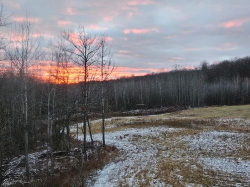 72 acres W Miller Road, Mio, MI, 48647 | Card Image