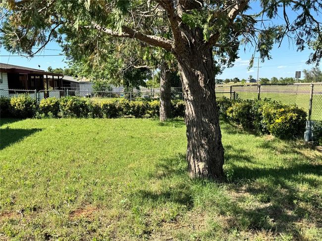 View of yard | Image 41