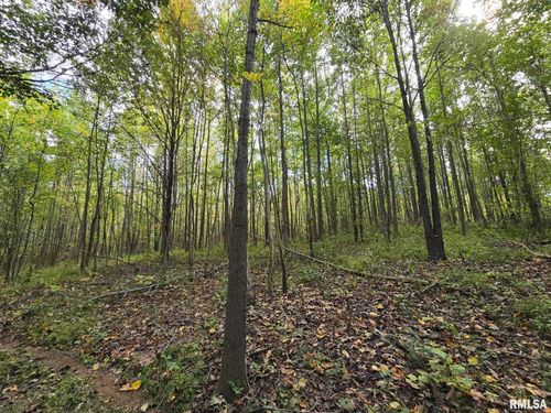 TBD State Highway 145 S Highway, Metropolis, IL, 62960 | Card Image