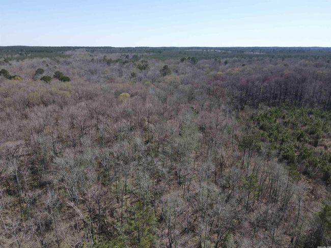 00 Highway 278 Highway, Home with 0 bedrooms, 0 bathrooms and null parking in Rosston AR | Image 11