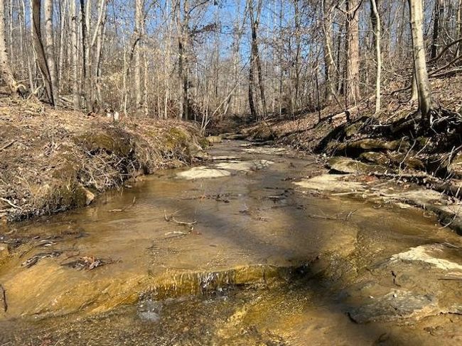 Lot 4 Oklahoma Rd, Home with 0 bedrooms, 0 bathrooms and null parking in Bee Spring KY | Image 11