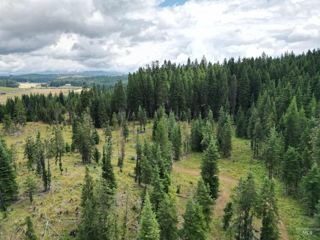 22848 Highway 11, House other with 3 bedrooms, 2 bathrooms and 4 parking in Weippe ID | Image 42