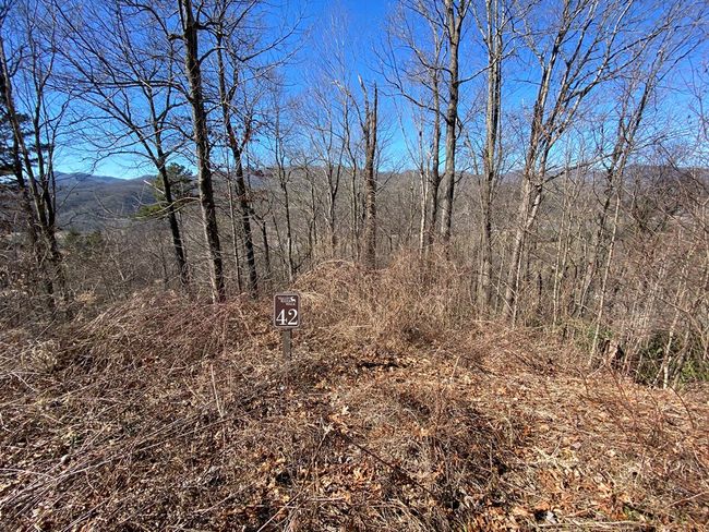 Lot 42 Silo View, Home with 0 bedrooms, 0 bathrooms and null parking in Marble NC | Image 4