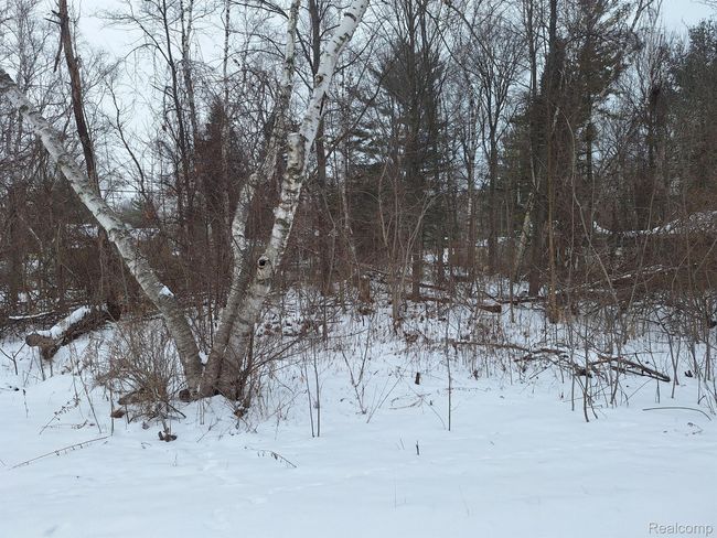 000 Birchwood Rd, Home with 0 bedrooms, 0 bathrooms and null parking in Lexington MI | Image 6