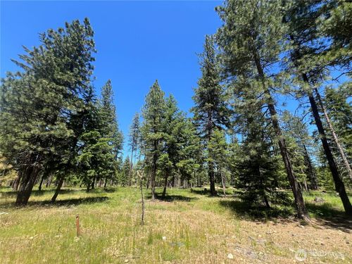 33 Domerie Bay Rd, Ronald, WA, 98940-0358 | Card Image