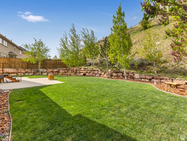 View of yard featuring a patio | Image 7