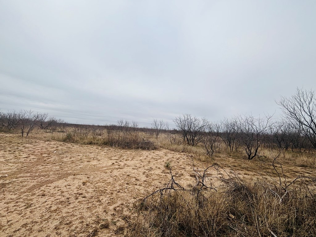 Land in San Angelo 3